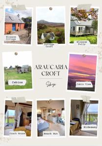 Fotografie z fotogalerie ubytování Araucaria Croft Skye v destinaci Dunvegan