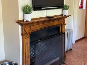 a fireplace with two potted plants on top of it at Butterfly Villa in Clarens
