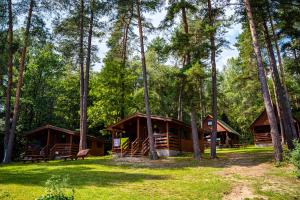 a cabin in the woods with trees at Zawiaty rodzinne wakacje z animacjami dla dzieci in Czarna Dąbrówka