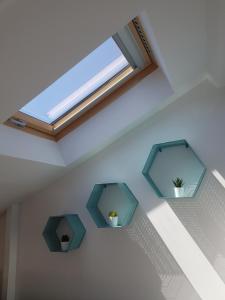 een dakraam in een kamer met twee planten bij Centre de Nice : Studio rénové, climatisé et calme in Nice