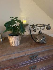 a telephone and a potted plant on a dresser at Ferienhof Eckhoff in Fehmarn