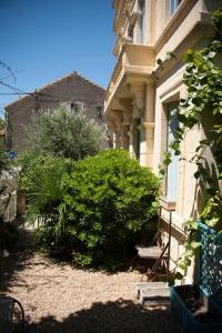 a house with a bush in front of a building at Maison Pelissier Bed and Breakfast with swemming pool in Cuxac-dʼAude