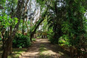 a tree lined path with a house in the distance at Pousada Fazendinha Tatuira in Imbé
