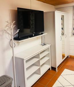 TV a/nebo společenská místnost v ubytování Dein Nesterl am Sonnenplateau