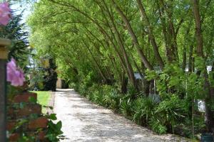 a tree lined path with plants and trees at AIRE NATURELLE CAMPING LA LOIRE FLEURIE in Le Perrier