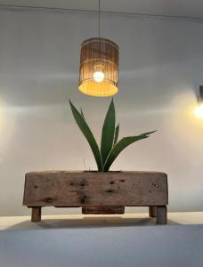 皮拉尼亚斯Hotel Fazenda Monte Cristo的相册照片