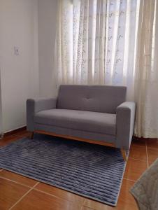 a couch sitting on a rug in a living room at Lofts Baronesa in São José dos Campos