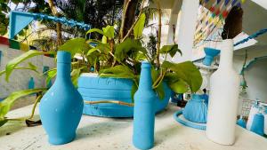 Viik wellness inn -3 Star Resort in Arambol Beach外面的花园
