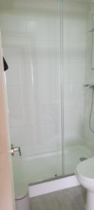 a bathroom with a shower and a toilet at Suites Oriente in Osorno +11 photos