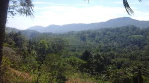 Φωτογραφία από το άλμπουμ του Mount Crest Inn Deniyaya σε Deniyaya