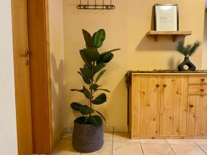 Afbeelding uit fotogalerij van Appartement Auwald in Forstau