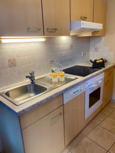 Afbeelding uit fotogalerij van Appartement Auwald in Forstau