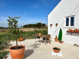 eine kleine Terrasse mit einem Tisch und Topfpflanzen in der Unterkunft Onda House Cozy Surf House in Odeceixe