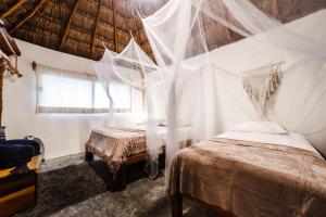 Gallery image of Eco Bañitas Tulum in Tulum