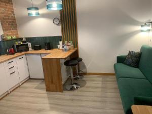 Kuchyň nebo kuchyňský kout v ubytování Apartament Legionow + 35 fotografií