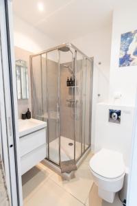 a bathroom with a shower and a toilet and a sink at Superbe appartement vue mer - terrasse et parking in Calvi +16 photos