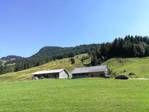 ein paar Gebäude auf einem Grasfeld in der Unterkunft Ferienhütte Kälberweide in Hittisau