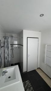un bagno con un lavandino bianco e una doccia di Logement moderne au cœur de l'Alsace a Niederbronn