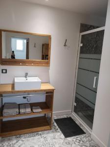 Koupelna v ubytování La petite maritaise du petit bois