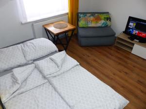 Televízia a/alebo spoločenská miestnosť v ubytovaní Apartament Morcinka