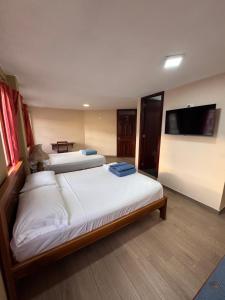 Postel nebo postele na pokoji v ubytování Hotel Casa Colonial Montufar