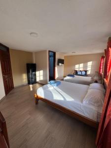 Postel nebo postele na pokoji v ubytování Hotel Casa Colonial Montufar