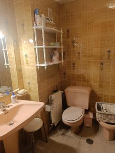 a bathroom with a toilet and a sink at Apartamento PANXOLIÑAS in Panjón