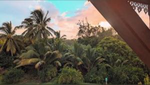 Giardino di Poisson d'Or Guest House