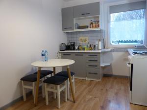 Kuchyň nebo kuchyňský kout v ubytování Apartament Kraszewskiego