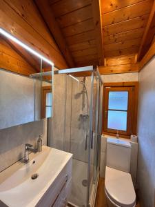 a bathroom with a shower and a toilet and a sink at Blockhäuser Stamsried in Stamsried +108 photos