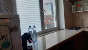 Kuchyňa alebo kuchynka v ubytovaní Practical flat Nivy centre