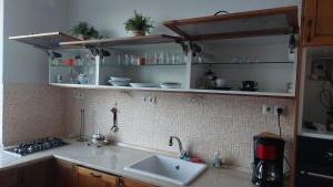 Kuchyňa alebo kuchynka v ubytovaní Practical flat Nivy centre + 3 fotografie