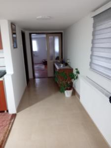 Gallery image of Stan na dan Kamenički park in Sremska Kamenica