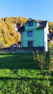 a large house in a field with a hill at Boykivska Familiya in Yaremche