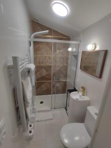 a white bathroom with a shower and a toilet at La Green Room in Poitiers
