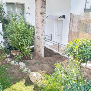 a tree in front of a house with plants at Retiro verde en Madrid in Quintana