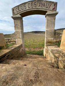 Φωτογραφία από το άλμπουμ του La Vignedard avec Sauna privé au coeur des vignes σε Pommard