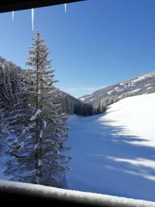 冬天的Chalet Dreibubenhaus.