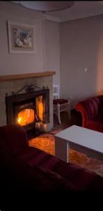 Ảnh trong thư viện ảnh của El Olivar de la Solana ở Castril