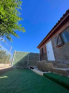 a dog sitting in the yard next to a house at Casita cerca de Murcia in Murcia +7 photos