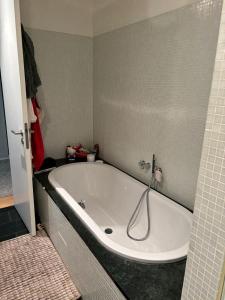 une baignoire dans une salle de bain avec douche dans l'établissement Wunderschönes Zimmer in einem großen Appartement neben dem Brandenburger Tor und vom Adlon Hotel, à Berlin