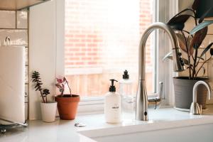 a kitchen sink with two bottles of soap and plants at Exquisite Craftsman - RiNo&Cole - Backyard Garden in Denver +46 photos