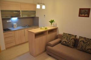 a living room with a couch and a kitchen at Apartment U Karla in Třeboň