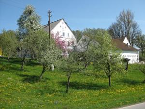 a white house with trees in a field of grass at Wohnung in Rotthalmünster mit Garten in Andriching +19 photos
