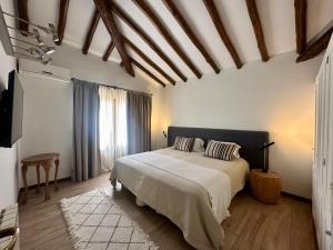 a bedroom with a bed and a television in it at Casa Cayé Solar del Plata in Vistalba +35 photos