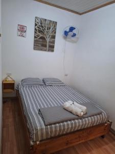 Postel nebo postele na pokoji v ubytování Hotel Cortez Azul