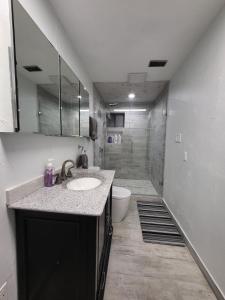 a bathroom with a sink and a toilet and a shower at Urban Treehouse in Dallas