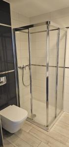 a bathroom with a shower with a toilet and a sink at Apartament Czarna Góra TIGNES 34 in Sienna +26 photos