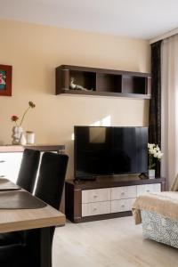 salon z dużym telewizorem z płaskim ekranem w obiekcie Apartamenty Tetmajera APARTZAKOP w Zakopanem