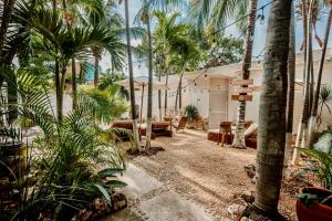 Zahrada ubytování Mezcal Hotel